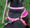 Coastal Pet Comfort Soft Adjustable Harness - Bright Pink - Small - 1 count