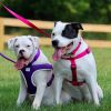 Coastal Pet Comfort Wrap Adjustable Harness Neon Pink - 26-38" girth x 1"W