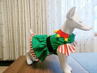 Pet Christmas Clothes Cute Warm Dog Skirt (Option: Green-S)