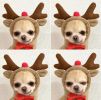 Christmas Dog Winter Warm Clothing Cute Plush Coat Hoodies Pet Costume Jacket For Puppy Cat French Bulldog Chihuahua Small Dog Clothing