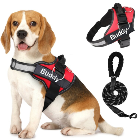 Pet Clothing Dog Couple Chest Strap Rope (Option: Red-S)