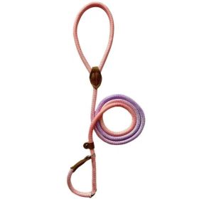 Colorful Durable Bold Nylon Pet Hand Holding Rope (Option: Light Purple Pink-XL)